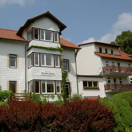 Pension Waldesblick-3